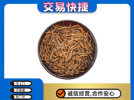 中山东凤镇高价回收散虫草